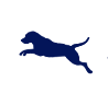 Dierenartsenpraktijk Den Driesprong